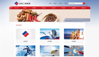 万户网络设计制作的北京二商集团网站