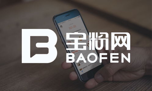 北京网站建设公司 北京网站设计 网页设计制作 高端网站建设 分形科技